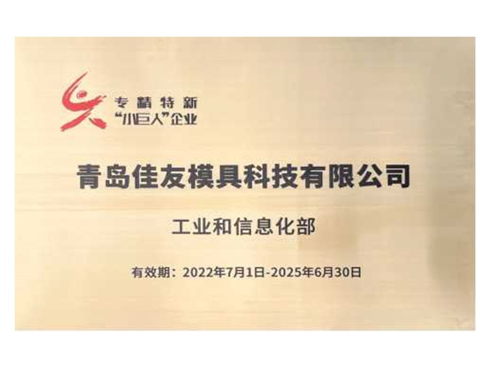 專精特新“小巨人”企業(yè)